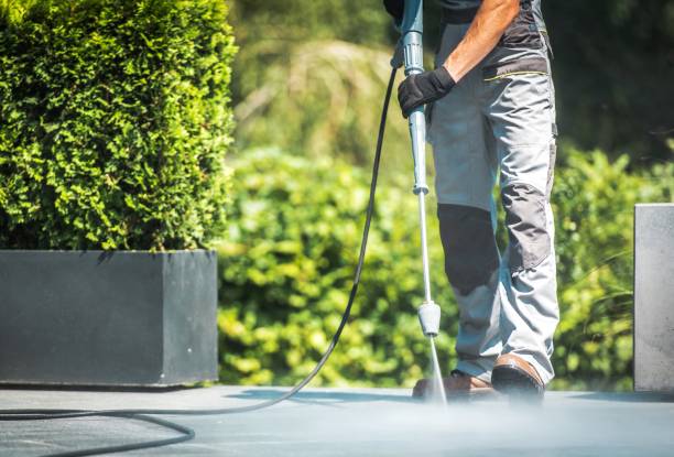 Best Animal Enclosure Cleaning  in Parsons, WV