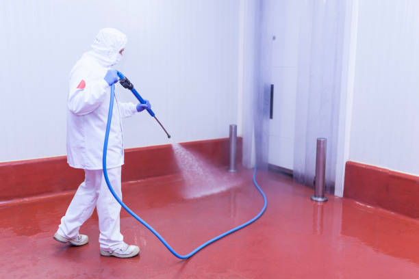 Pre-Holiday Cleaning in Parsons, WV